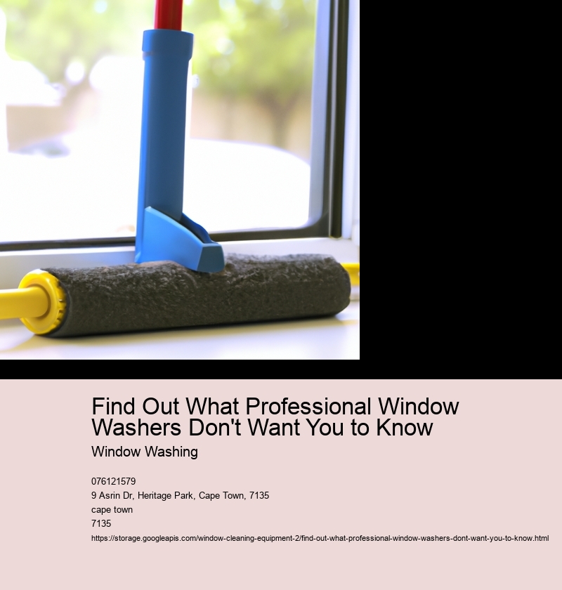 Find Out What Professional Window Washers Don't Want You to Know